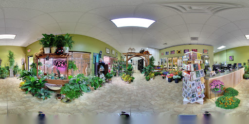 Florist «Carrollwood Florist», reviews and photos, 11745 N Dale Mabry Hwy, Tampa, FL 33618, USA