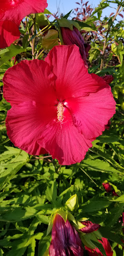 Performing Arts Theater «Staller Center For the Arts», reviews and photos, 100 Nicolls Rd, Stony Brook, NY 11794, USA