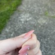 Sally's nails