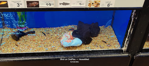 Pet Supply Store «Petco Animal Supplies», reviews and photos, 13691 Ridgedale Dr, Minnetonka, MN 55305, USA