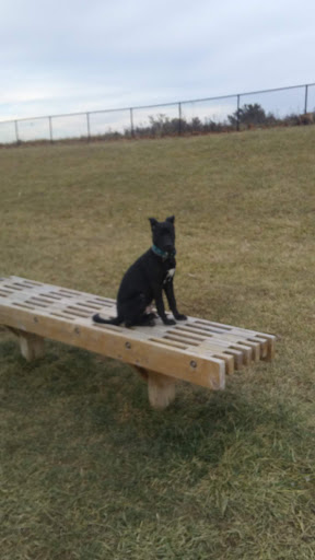 Park «Smock Golf Course», reviews and photos, 3910 County Line Rd, Indianapolis, IN 46237, USA