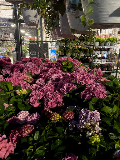 Home Improvement Store «The Home Depot», reviews and photos, 254 Larkin Dr, Monroe, NY 10950, USA