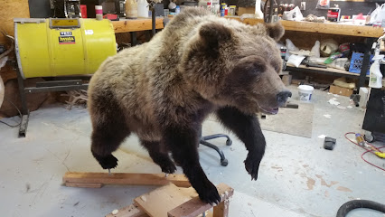 Absolute Taxidermy