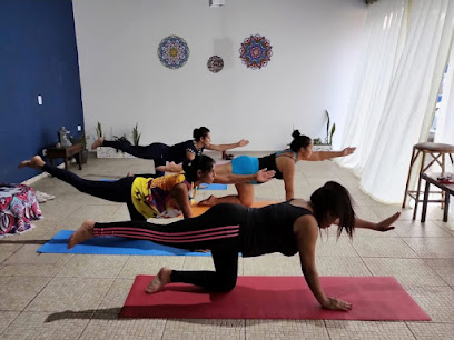 Amor e Cura Sa&uacute;de Integrativa