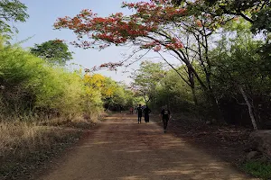 Taljai Trek image