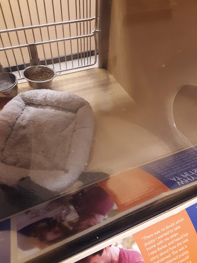 Pet Supply Store «PetSmart», reviews and photos, 3500 S Glenstone Ave, Springfield, MO 65804, USA