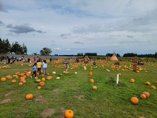 Market «E Z Orchards Farm Market», reviews and photos, 5504 Hazelgreen Rd NE, Salem, OR 97305, USA