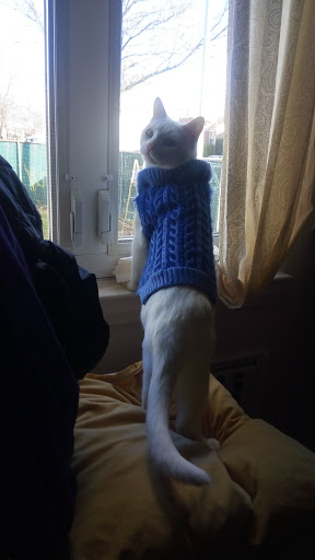 Pet Supply Store «Animal Fare», reviews and photos, 153 Prospect Park Southwest, Brooklyn, NY 11218, USA