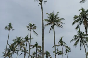 Pantai Nangai image