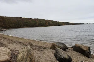 Bluff Point State Park image