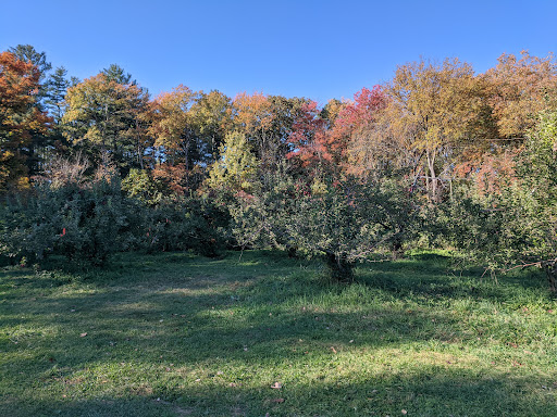 Orchard «Applecrest Farm Orchards», reviews and photos, 133 Exeter Rd, Hampton Falls, NH 03844, USA