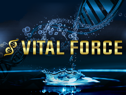 Vital Force Therapy and Wellness