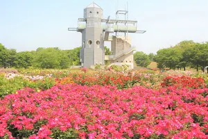 Country Park (Kumamoto Prefecture Agriculture Park) image