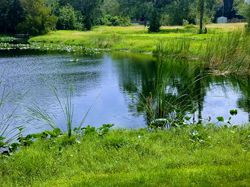 Wedding Venue «The Crystal Ballroom - Tampa Bay», reviews and photos, 5541 Roosevelt Blvd, Clearwater, FL 33760, USA