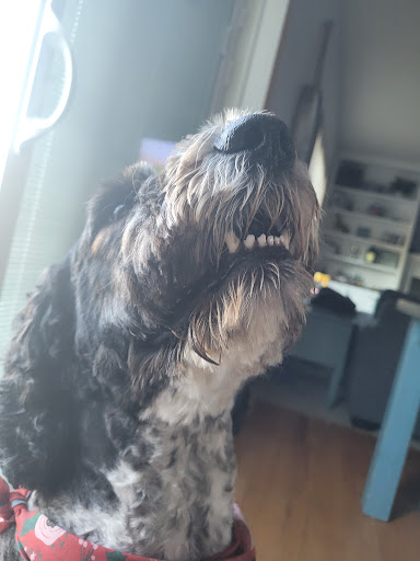 Pet Store «PetSmart», reviews and photos, 16001 Elmhurst Ln, Lakeville, MN 55044, USA