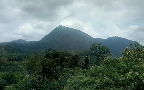 Kanyakumari Wildlife Sanctuary - Kanyakumari, Tamilnadu image