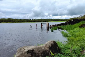 Coole Park Nature Reserve image