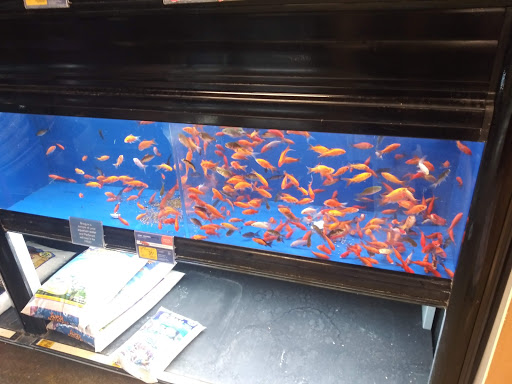 Pet Supply Store «PetSmart», reviews and photos, 1954 Santa Rosa Ave, Santa Rosa, CA 95407, USA