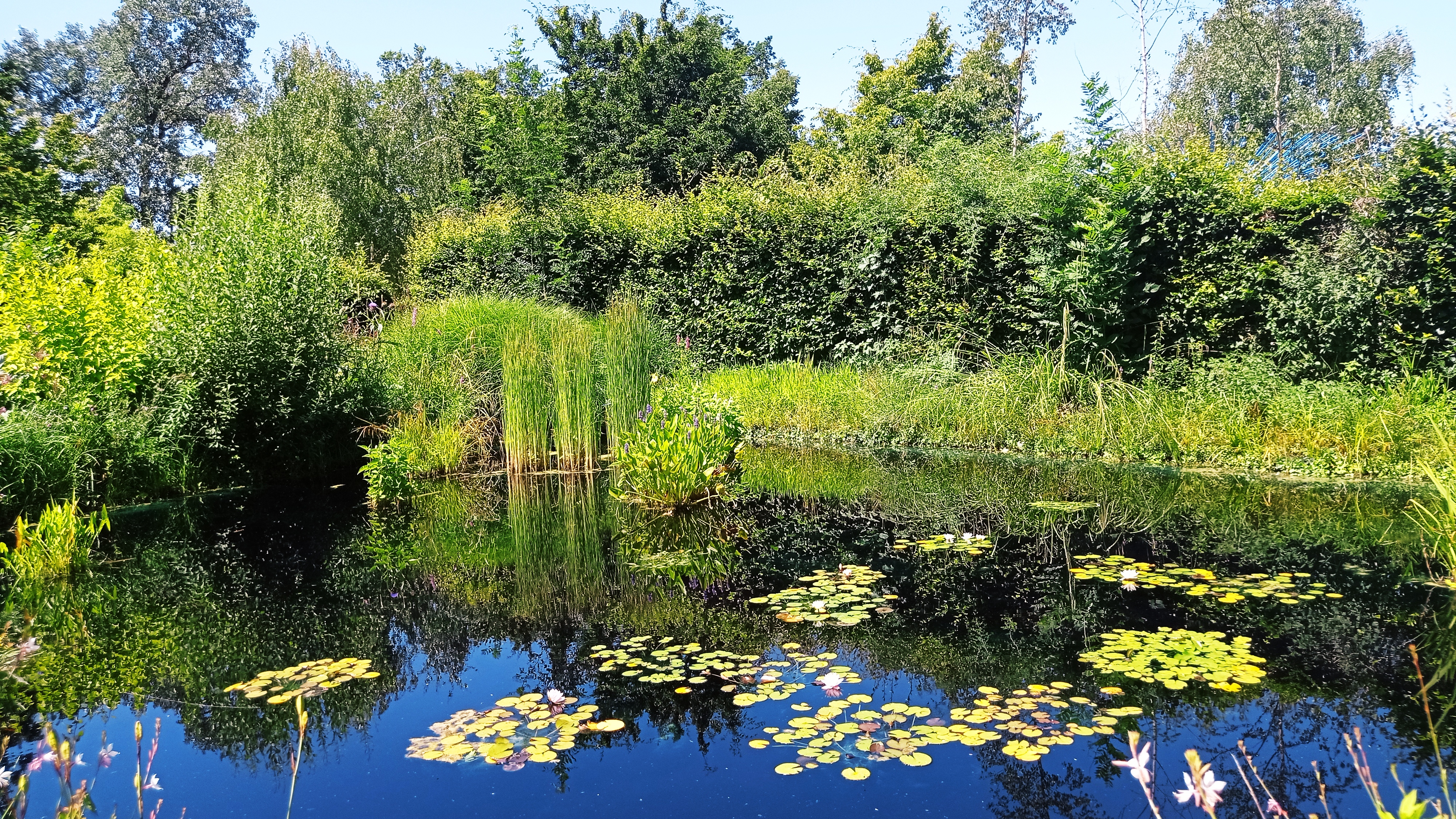 Photo n° 1 de l'avis de A. fait le 18/07/2021 à 14:50