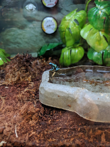 Pet Supply Store «Petco Animal Supplies», reviews and photos, 891 NE D St, Grants Pass, OR 97526, USA