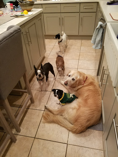 Park «Pueblo Park», reviews and photos, Peublo Vista Dr, Las Vegas, NV 89128, USA