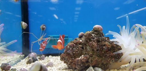 Pet Supply Store «Petco Animal Supplies», reviews and photos, 450 N Rte 17, Paramus, NJ 07652, USA