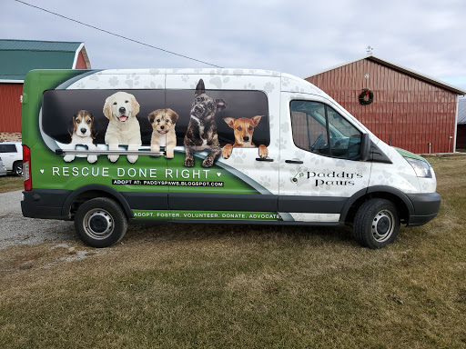 Paddy's Paws