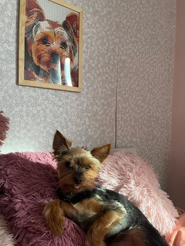 Przychodnia Weterynaryjna LOVET