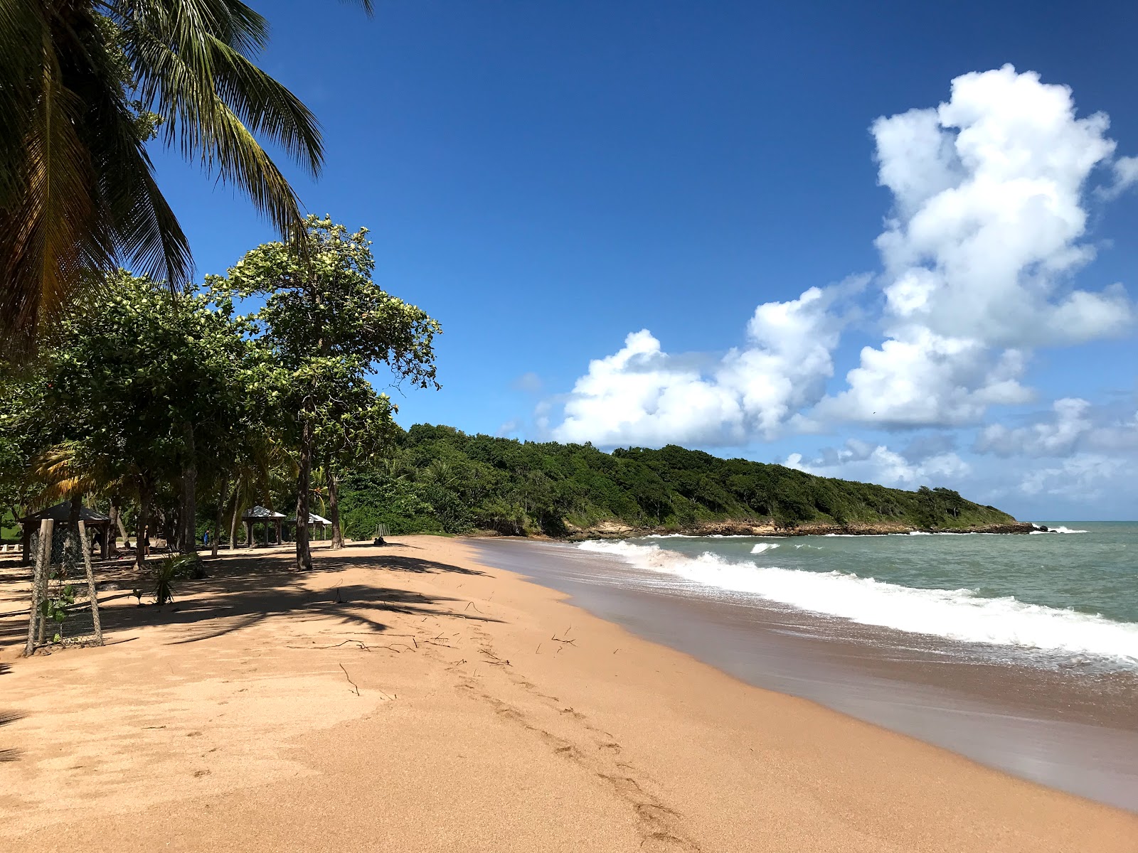 Photo de Plage des Amandiers avec l'eau cristalline de surface