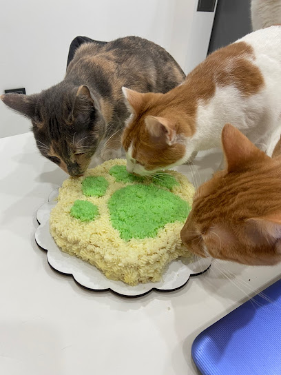 Milo’s Cakes - Repostería canina y felina- tortas para perros y gatos