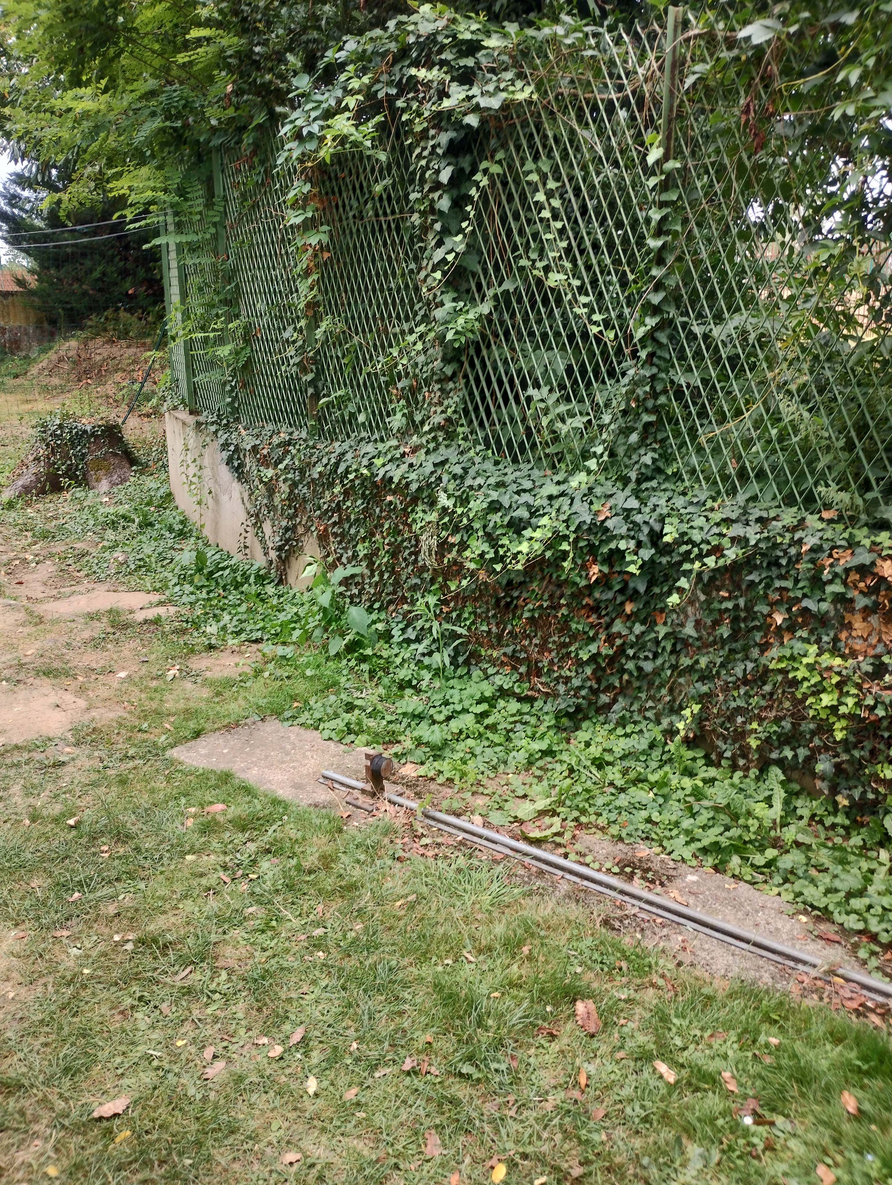 Photo n° 1 de l'avis de Marion.s fait le 10/08/2023 à 10:27