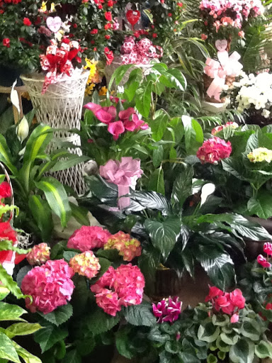 Florist «A Daisy A Day», reviews and photos, 749 Silas Creek Pkwy, Winston-Salem, NC 27127, USA