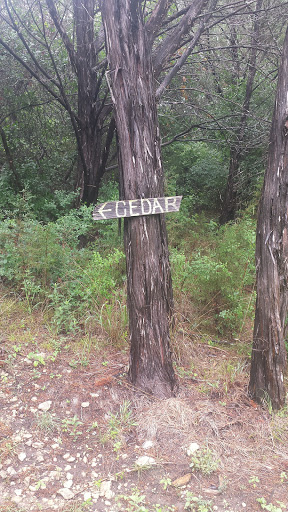 Cabin Rental Agency «Paluxy River Bed Cabins», reviews and photos, 1319 FM 205, Glen Rose, TX 76043, USA