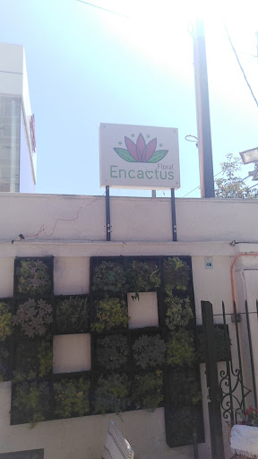 Encactus Floral - Floreria y Vivero