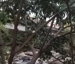 Cuale Paradise Restaurant & Bar photo