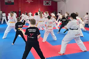 Denbighshire Taekwondo Academy & Family Martial Arts Centre image