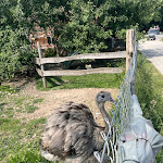 Photo n°11 de l'avis de Mary. fait le 08/06/2023 à 14:36 sur le  Waldgaststätte Filzenklas à Tuntenhausen