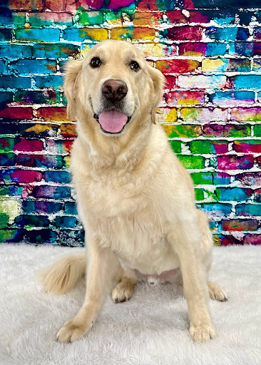 Ultimutt Pet Pawlour, LLC