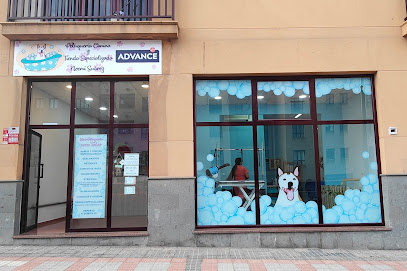 Peluquería canina Noemí Suárez - Servicios para mascota en Telde