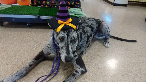 Pet Supply Store «PetSmart», reviews and photos, 920 Groveland Ln, Lincoln, CA 95648, USA