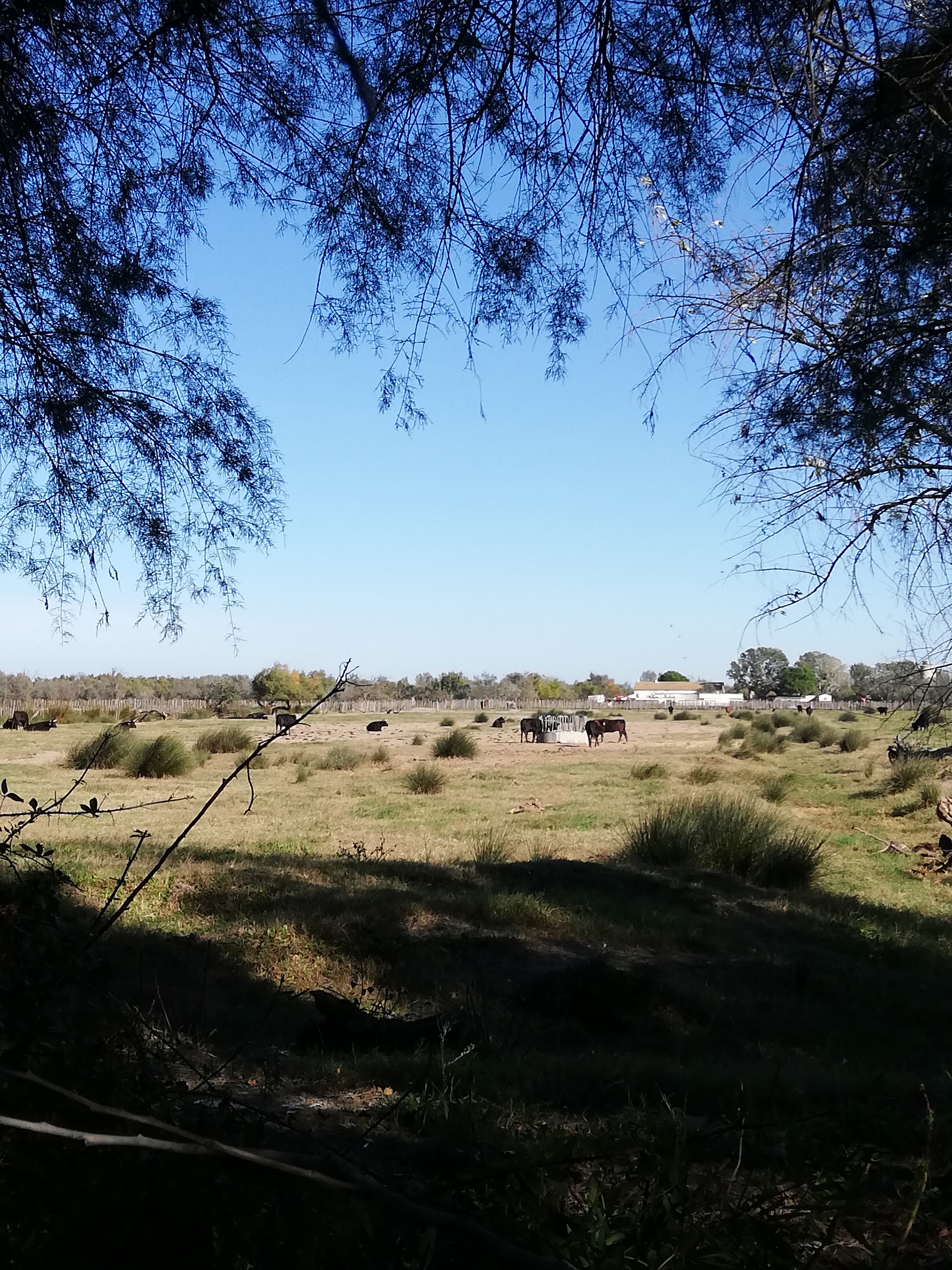 Photo n° 5 de l'avis de Sarah.o fait le 24/10/2018 à 15:20