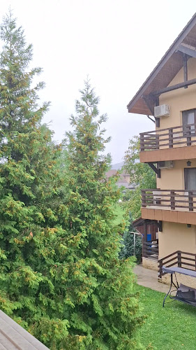 Pensiunea Ianis Piatra Neamt - Hostal