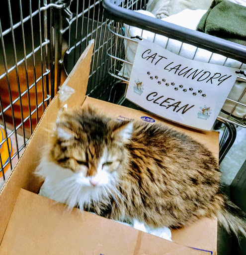 Campbell County Animal Shelter