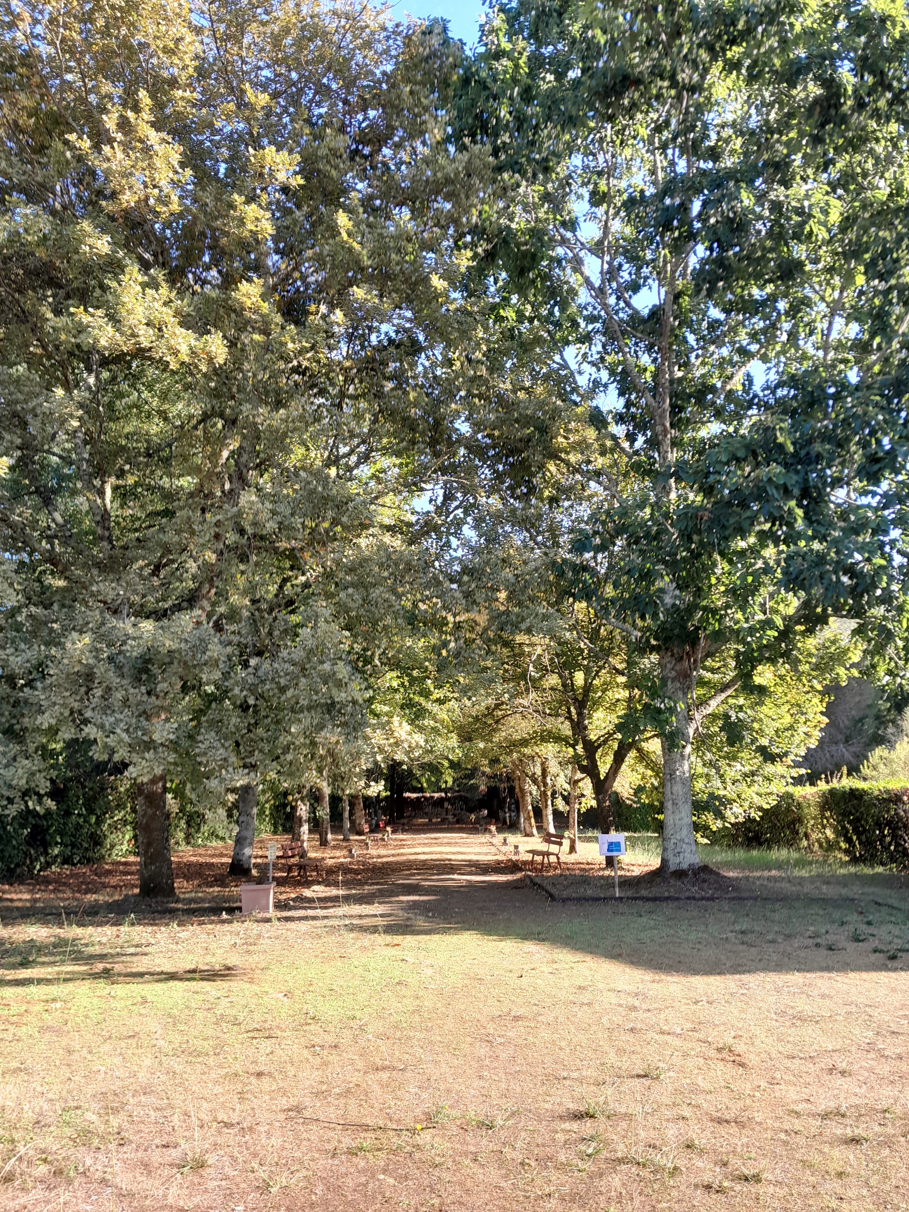 Photo n° 14 de l'avis de Susana.e fait le 19/09/2022 à 20:44