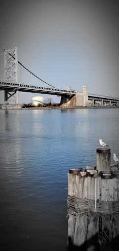 Penn's Landing Dog Park