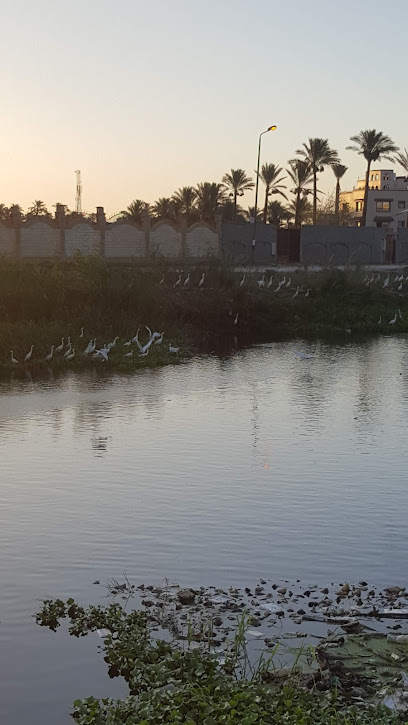 نادي رؤية شبرامنت - Roya Club Shabramant