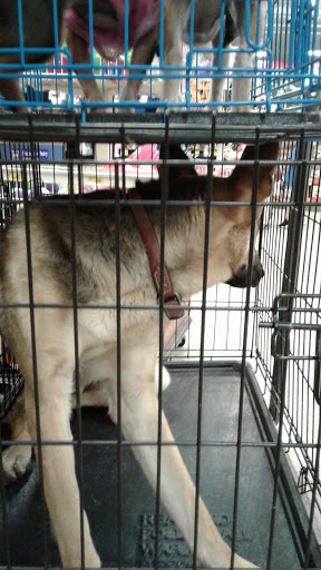 Pet Supply Store «PetSmart», reviews and photos, 1836 Joe Battle Blvd, El Paso, TX 79936, USA
