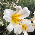 Photo n°7 de l'avis de Giuseppe.a fait le 23/07/2021 à 15:36 sur le  Ristorante Cormorano Porto di Agropoli à Agropoli