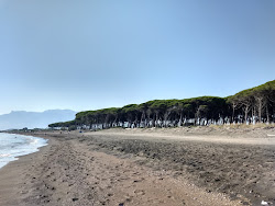 Photo de Foce Garigliano Beach avec rivage droit, long