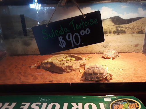 Animal Feed Store «Old Mcgowans Feed», reviews and photos, 398 W Lathrop Rd, Manteca, CA 95336, USA